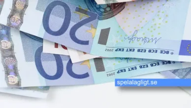 Lotto vinnare och de största lottovinsterna genom tiderna och de största jackpottarna som personer vunnit på lotteri - spelalagligt.se